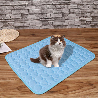 tapis-pour-chat-rafraichissant-plancher