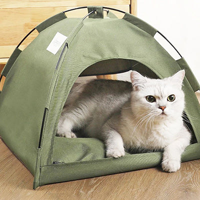 Tente pour chat style camping