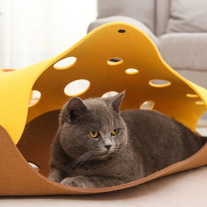 tunnel-pour-chat-modulable-assis