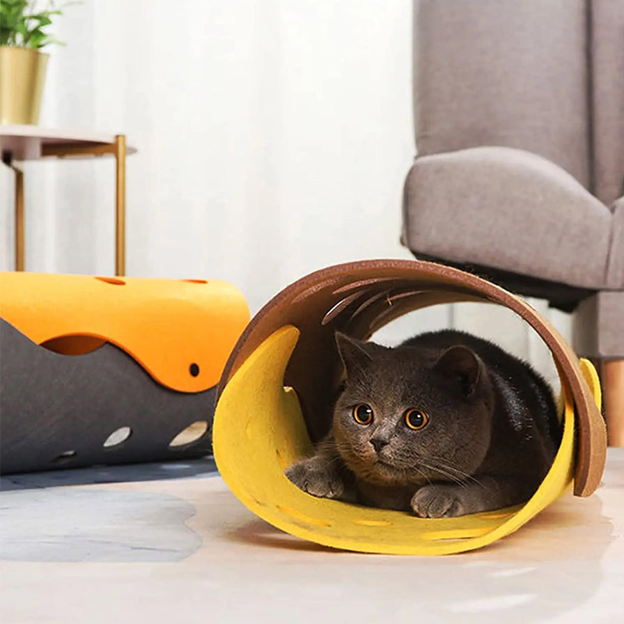 tunnel-pour-chat-modulable-cachette