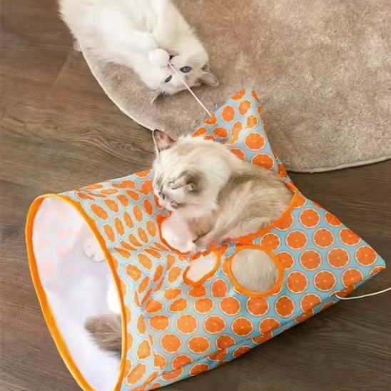 tunnel-pour-chat-pliable-a-deux