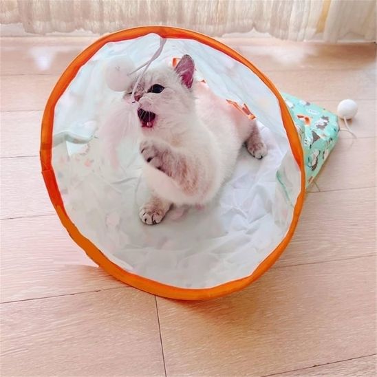 tunnel-pour-chat-pliable-attrape