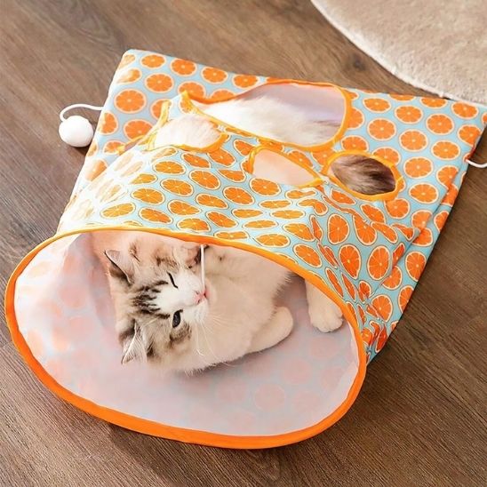 tunnel-pour-chat-pliable-coucou