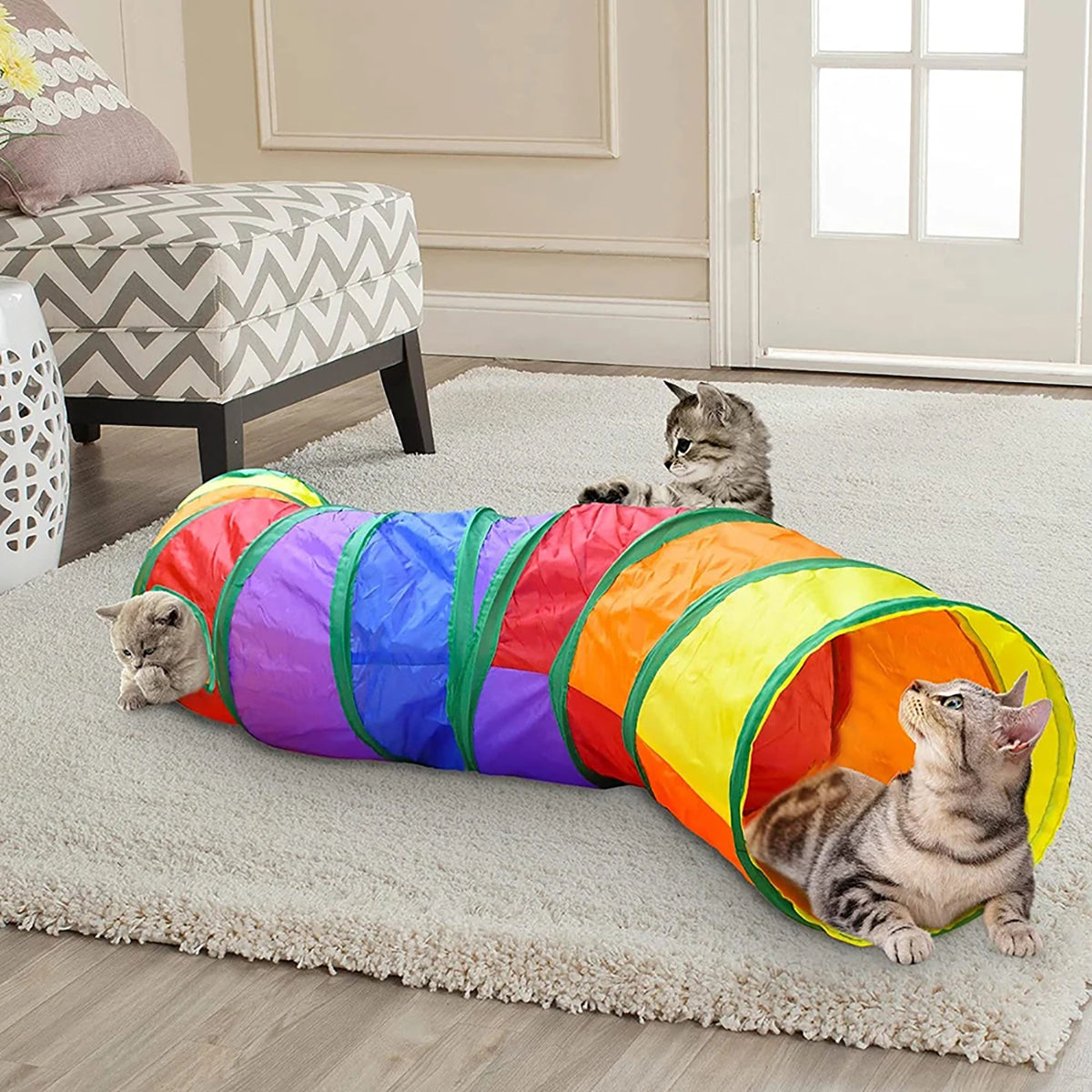 tunnel-pour-chat-salon