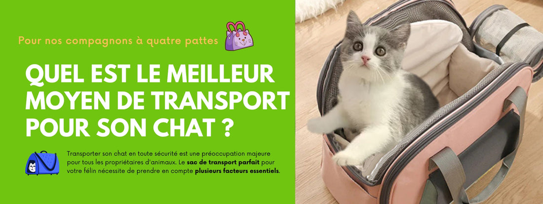 QUEL EST LE MEILLEUR MOYEN DE TRANSPORT POUR SON CHAT ?