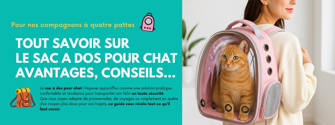 TOUT SAVOIR SUR LE SAC A DOS POUR CHAT : AVANTAGES, CONSEILS...