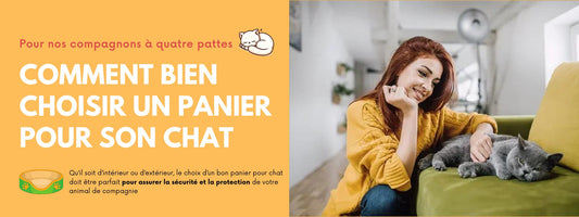 COMMENT BIEN CHOISIR UN PANIER POUR SON CHAT