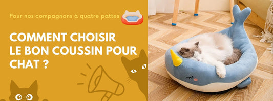 comment choisir le bon coussin pour chat
