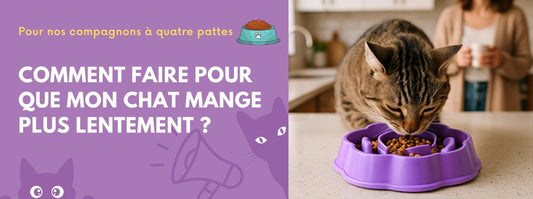 comment faire pour que mon chat mange plus lentement