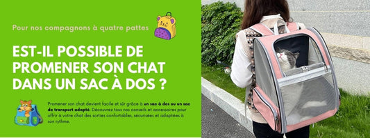 EST-IL POSSIBLE DE PROMENER SON CHAT DANS UN SAC À DOS ?