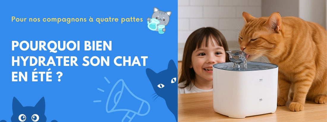 pourquoi bien hydrater son chat