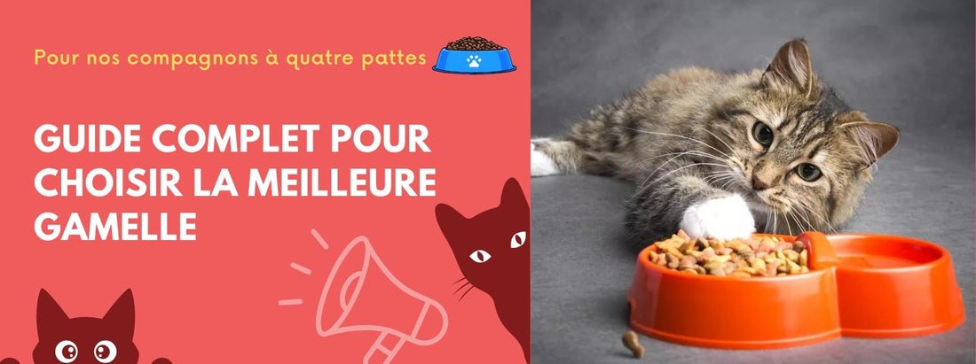 guide complet pour choisir la meilleure gamelle