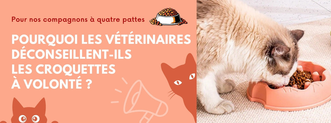 pourquoi les vétérinaires déconseillent-ils les croquettes à volonté