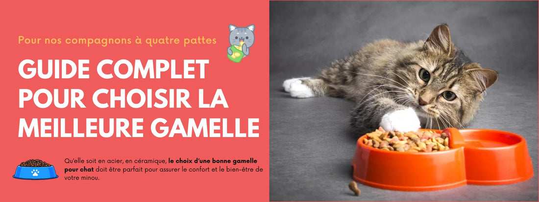 GUIDE COMPLET POUR CHOISIR LA MEILLEURE GAMELLE POUR CHAT