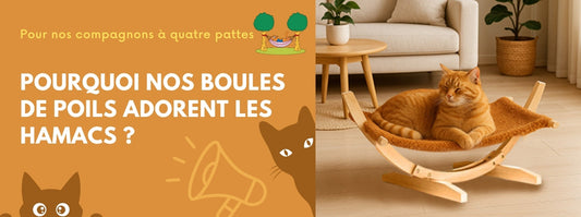 POURQUOI NOS BOULES DE POILS ADORENT LES HAMACS ?