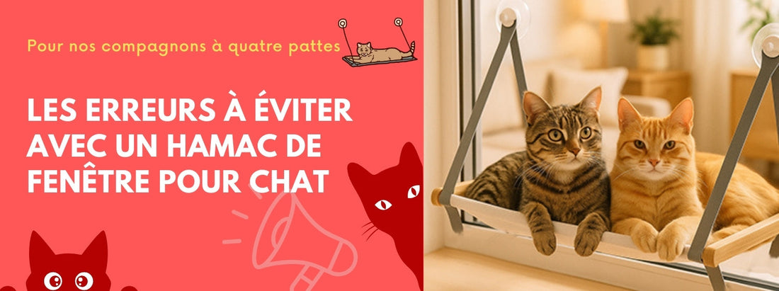 les erreurs à éviter avec un hamac de fenêtre pour chat
