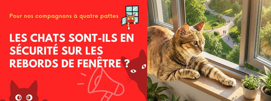 les chats sont-ils en sécurité sur les rebords de fenêtre