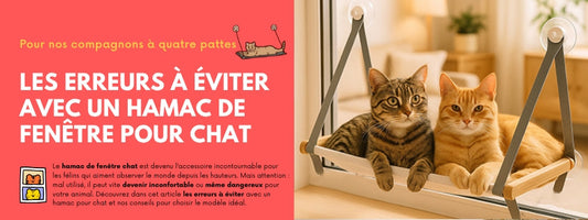LES ERREURS À ÉVITER AVEC UN HAMAC DE FENÊTRE POUR CHAT