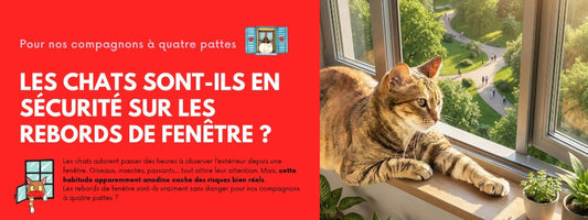 LES CHATS SONT-ILS EN SÉCURITÉ SUR LES REBORDS DE FENÊTRE ?