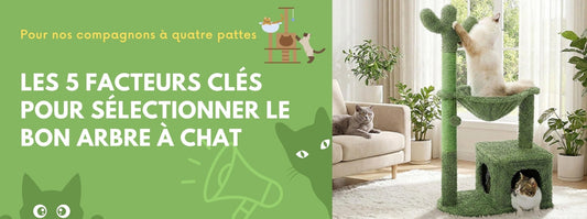 les cinq facteurs clés de l'arbre à chat