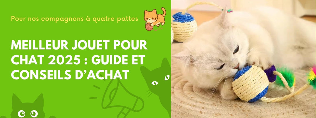 meilleur_jouet_pour_chat_2025
