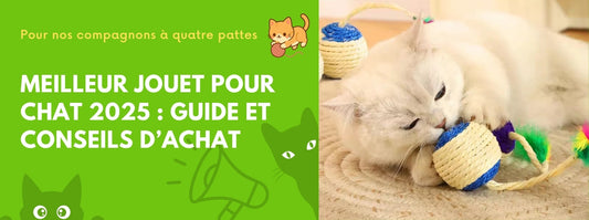 meilleur_jouet_pour_chat_2025