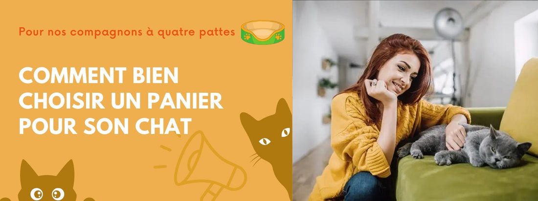 comment bien choisir un panier pour son chat