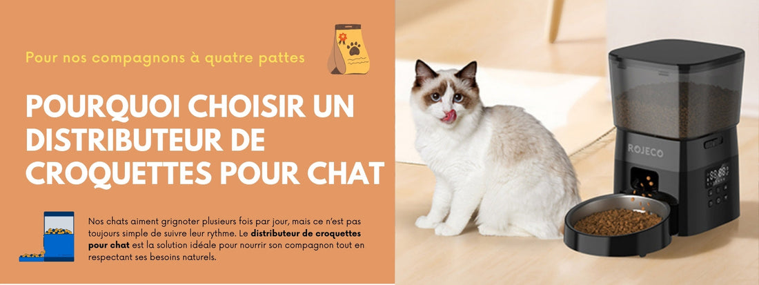 pourquoi-choisir-un-distributeur-de-croquettes-pour-chat