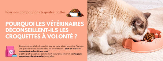 POURQUOI LES VÉTÉRINAIRES DÉCONSEILLENT-ILS LES CROQUETTES À VOLONTÉ ?