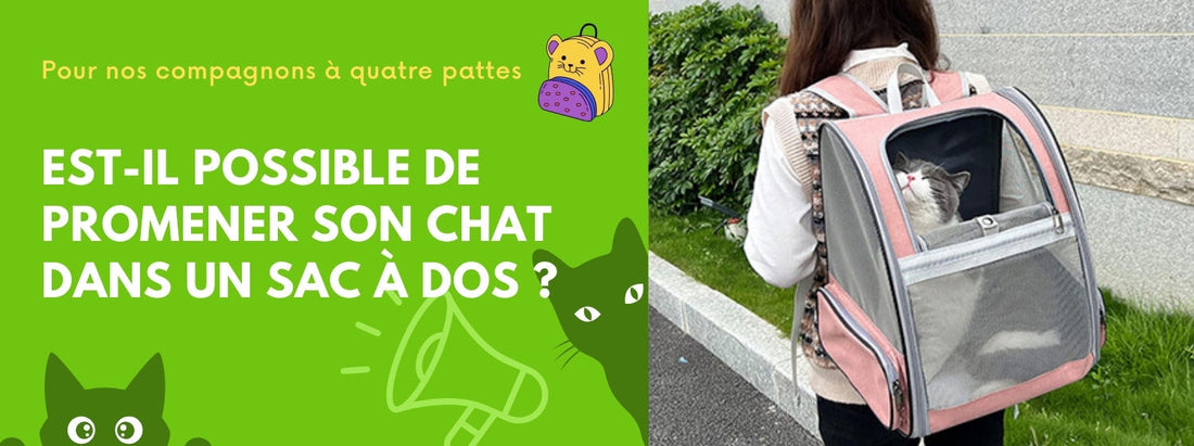 est-il possible de promener son chat dans un sac à dos