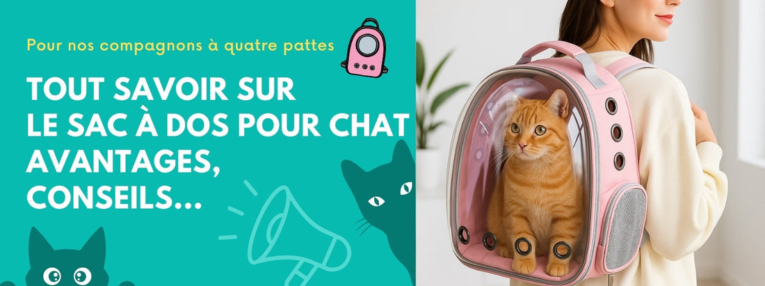 tout savoir sur le sac à dos pour chat