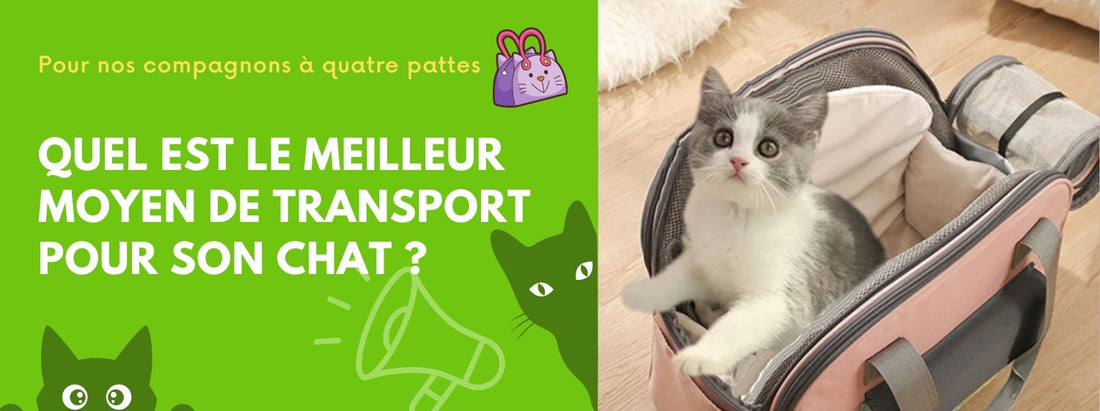 quel est le meilleur moyen de transport pour son chat