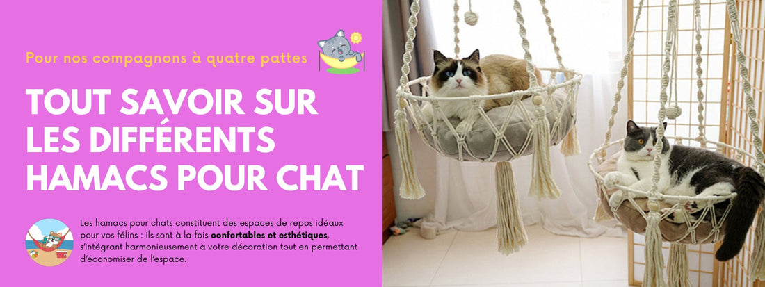 TOUT SAVOIR SUR LES DIFFÉRENTS HAMACS POUR CHAT