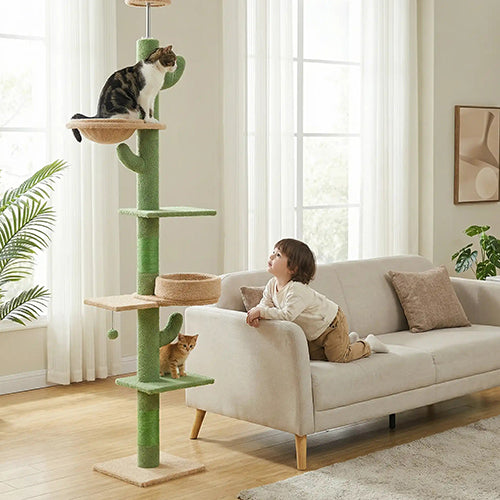 arbre-a-chat-cactus-multi-niveaux-avec-enfant