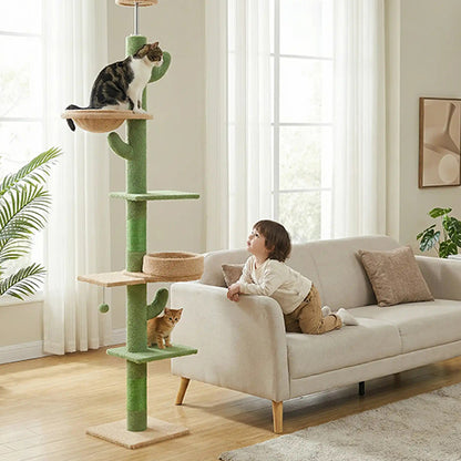 arbre-a-chat-cactus-multi-niveaux-avec-enfant