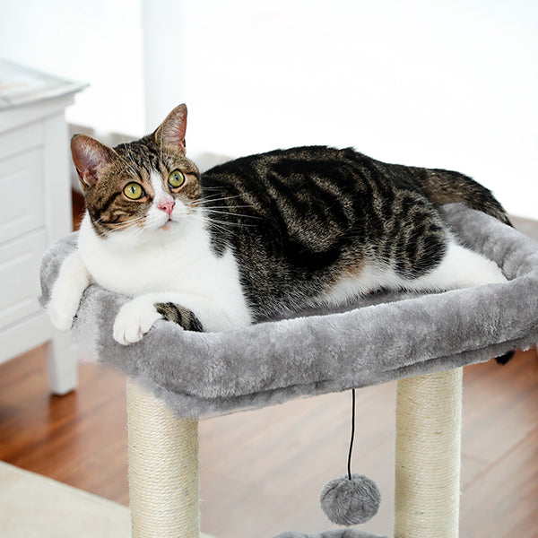 arbre-a-chat-compact-chat-qui-se-repose-sur-le-haut