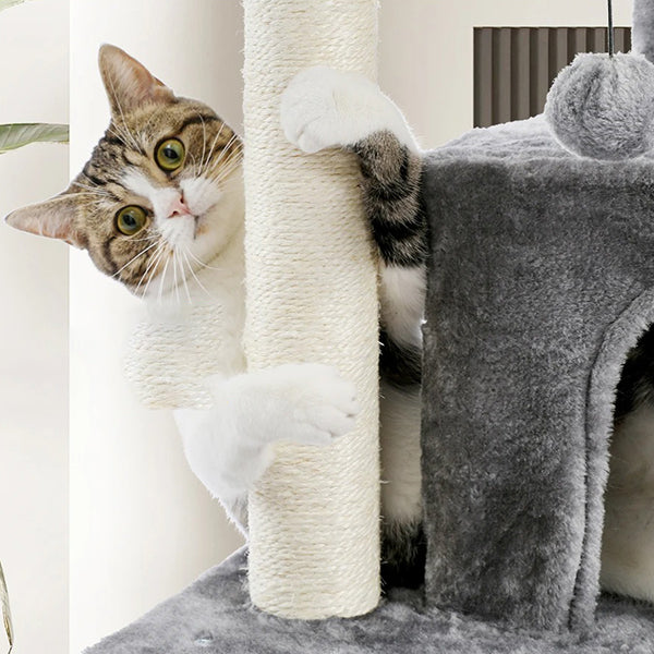 arbre-a-chat-complet-chat-qui-gratte