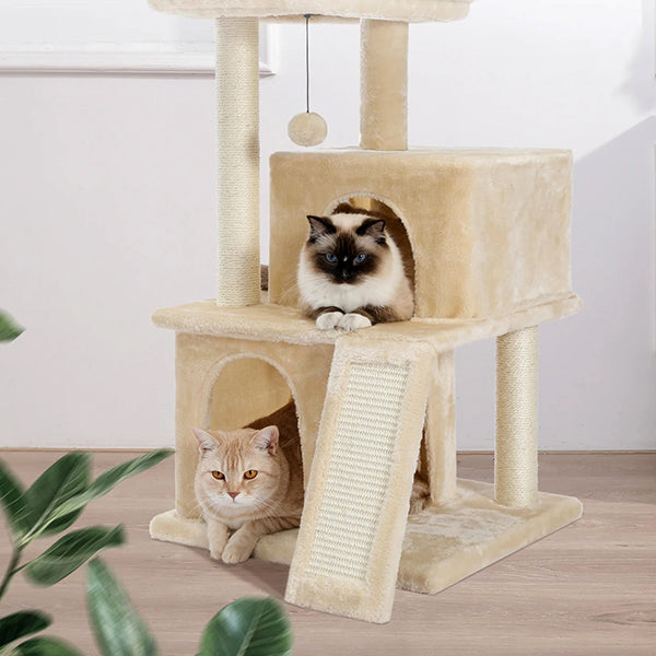 arbre-a-chat-complet-deux-chats-au-repos