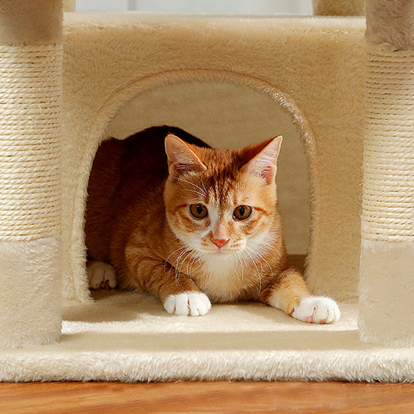 arbre-a-chat-confort-multiple-chat-dans-la-niche