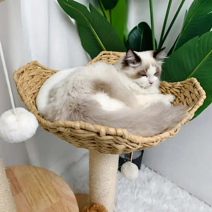 arbre-a-chat-elegance-et-confort-chat-couche-dans-le-panier