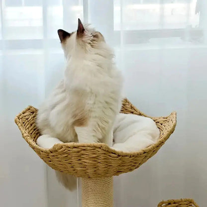 arbre-a-chat-elegance-et-confort-chat-dans-le-panier