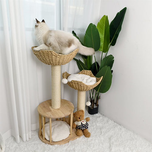 arbre-a-chat-elegance-et-confort-chat-qui-donne-le-dos