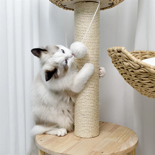 arbre-a-chat-elegance-et-confort-chat-qui-fait-ses-griffes