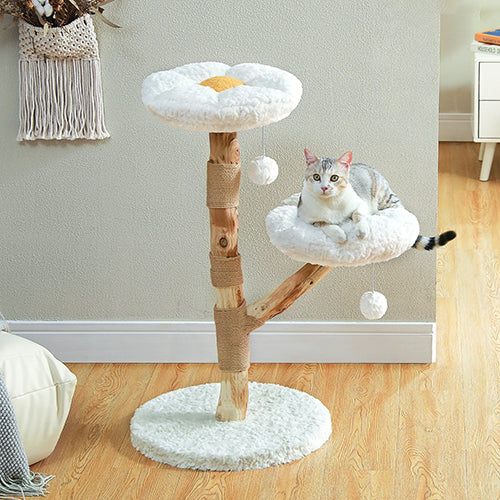 arbre-a-chat-fleur-chat-allonge-en-bas