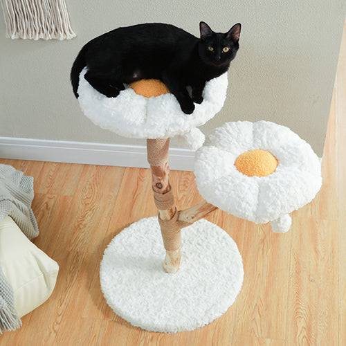 arbre-a-chat-fleur-chat-couche-vu-de-haut