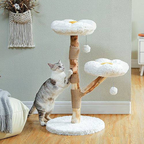 arbre-a-chat-fleur-chat-qui-fait-ses-griffes