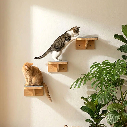 arbre-a-chat-mural-design-pur-deux-chats-sur-les-plateformes