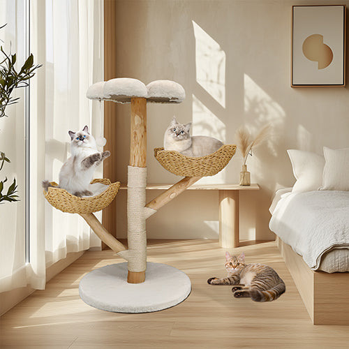 arbre-a-chat-naturel-design-dans-la-chambre