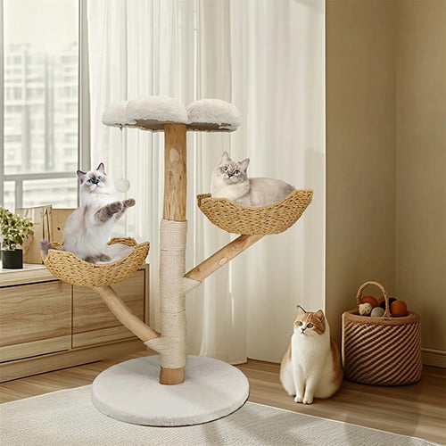 arbre-a-chat-naturel-design-devant-la-fenetre-et-meuble