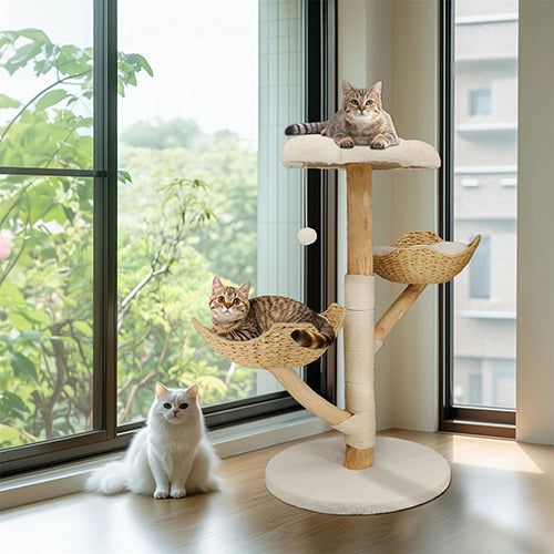 arbre-a-chat-naturel-design-devant-la-fenetre
